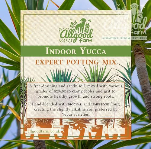 Allgood Farm Yucca Soil - Expert Gritty Potting Soil Mix for Yucca Trees, Guatamalensis, Aloifolia, Filamentosa (10 Litres)
