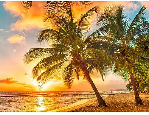 DAERLE Diamond Painting Erwachsene Sandstrand, 5D Diamant Painting Bilder Sonnenuntergang, DIY Diamond Painting Bilder Diamant Malerei Baum Set für Wanddekoration 40x30cm