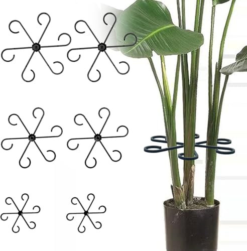 12 clips pour plantes vivaces support de tige de plante, porte-tiges tuteur plante, tuteur plante interieur Pour les supports grimpants monarques et les fleurs de taro, les hortensias tomates