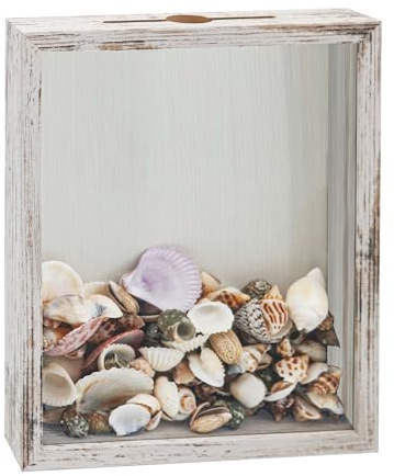 FramePro Small Shadow Box Seashell Collection White 8x10 Top Loading Display Case Frame with Slot, Movie Travel Sporting Events Concert Ticket Stubs Drink Beer Caps Memory Keepsake Box