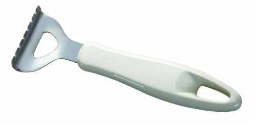 Tescoma Écailleur à Poissons Presto