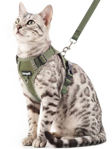 pangdi Cat Harness and Leash Escape Proof Extra Large Kitten Harness Maine Coon Cat Vest for Walking Travel, Dark Green, XL