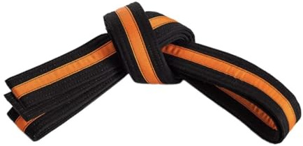 Mastery Apprentice (black belt/orange stripe, 5)