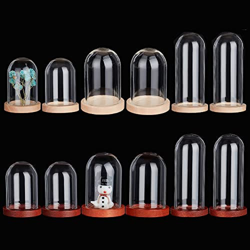 PandaHall 12 Sets Glasglocke Kuppel 3 Größe Mini Glocke Glasglocke Mit Holzsockel Glasflaschen Kuppel Dekorative Gläser Vitrine Für Blumenzähne Aufbewahrung Zuhause Weihnachtsfeier Dekoration