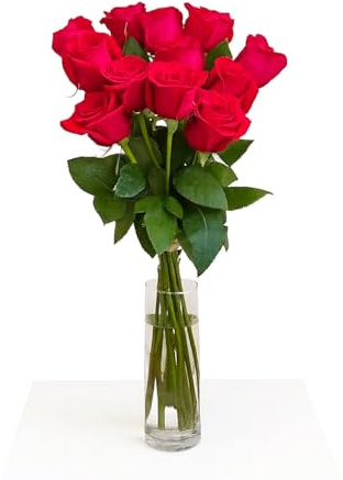 FLORES SOLIDARIAS - Ramos de Flores Naturales Rosas Rojas - Ramo Fresco de Calidad para Regalo, San Valentín, Día de la Madre, Bodas, Aniversarios, Cumpleaños y Decoración del Hogar