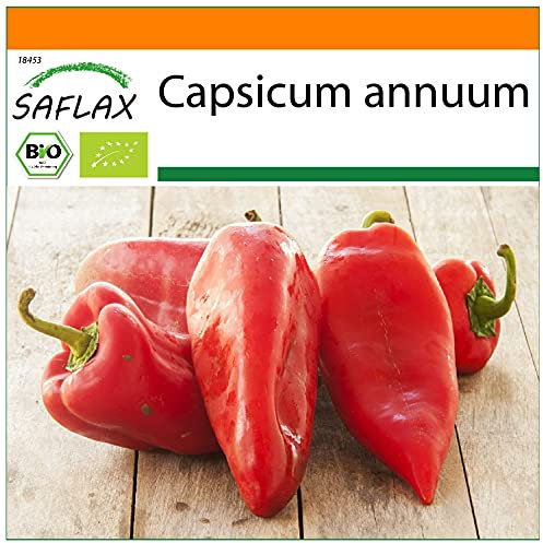 SAFLAX - Jardin dans le sac - BIO - Poivron - Red Marconi - 20 graines - Avec substrat de culture dans un sac de levage facile à manipuler. - Capsicum annuum