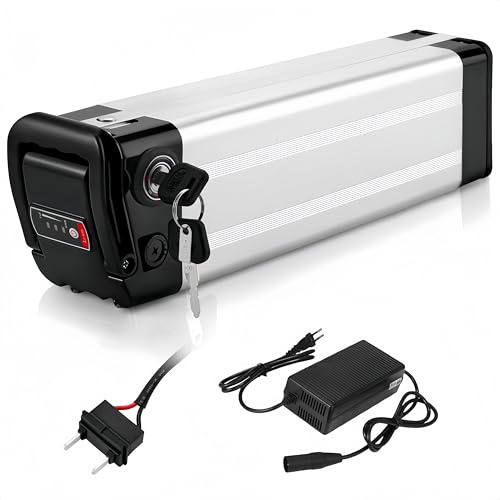 X-go Batteria Bici Elettrica per 1000W-250W Motore Elettrico per Bici, Pieghevole Bici Elettriche con Caricabatterie BMS Sicuro Serrature Maniglia di (48V 13AH 2Pin per 750W 500W 350W 250W)