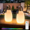 GGII LED Tischlampe, Tragbare Kabellos Akku Aufladbar Mit Fernbedienung - Warmweiß 8 Farben Dimmbar, Wasserdichtes Außen Tischleuchte 2 Stück für Haus und Garten