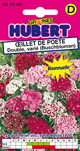 Graines d'Oeillet de Poète Double Varié - 1,5 grammes