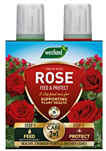 Westland Rose Feed & Protect Concentrates 2 in 1 (2 x 500 ml) Green 20100417