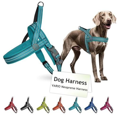 DOCO No-Pull Dog Harness for Medium Sized Dog, Halter Reflective Easy-Control Harness for Training, Walking, and Preventing Pulling, Breathable Design - Turquoise