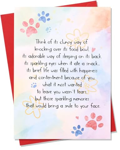 Fukaisu Tarjeta de Condolencias Por Pérdida Perro o Gato, Tarjeta Condolencias Rainbow Bridge con Sobre para Familiares Amigos Dueños Mascotas en Duelo Regalos Conmemorativos