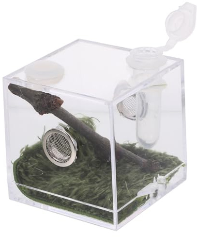 NOLITOY Boîte Transparente pour Araignées Sauteuses Trou D'aération, Conteneur D'élevage en Acrylique Robuste, Taille Moyenne, pour Terrarium Reptiles et Petits Insectes