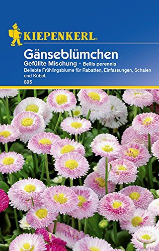 Sperli Blumensamen Gänseblümchen gefüllte Mischung, grün
