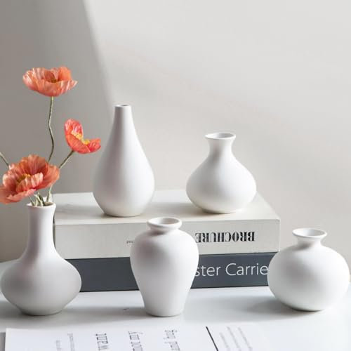 Keramik Vase Weiß, Vasen Set-5 Kleine Vase weiße für Dekor Frische Blumen Pampasgras,Moderne Tischdekoration für Wohnzimmer, Esstisch, Bücherregal und Kaminsims (Weiß)