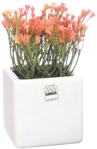 ASA Deko Glockenblumen orange