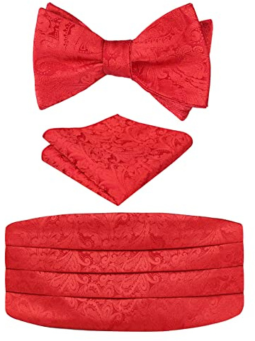 Alizeal herr klassisk paisley självknuten justerbar fluga, kummerbund och ficknäsduk set, 133-Röd, en storlek