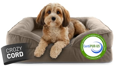 Lumaland Cama ortopédica para Perros de Pana | Sofá ergonómico para Perros pequeños | Base Antideslizante | Relleno y Funda Lavable | Cesta para Perros con Espuma viscoelástica