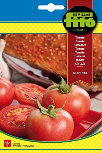 Semillas Fitó 6892 - Semillas de Tomate de Colgar