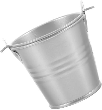 INOOMP 2pièces Seau Décoratif avec Poignée pour Pot De Vintage pour Maison Bureau pour Présentations Maison Expositions Et Décorations