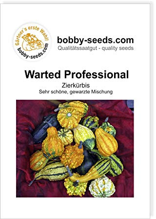 Warted Professional Zierkürbis von Bobby-Seeds, Portion