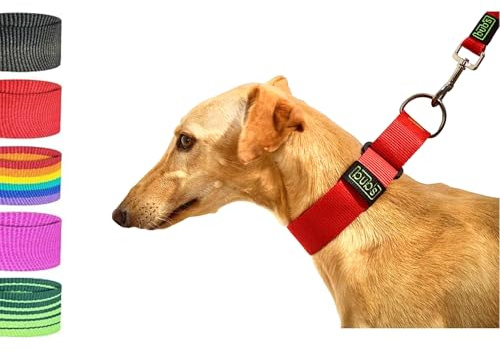Bub´s halsband martingal för vindhund brutto och medel. Hundens halsomkrets: 35–50 cm (röd)