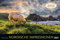 Nordische Impressionen - Kalender 2025 - Panorama-Format - Korsch-Verlag - Fotokalender - Fotokunst - 58 cm x 39 cm