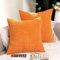 TAN.TOMI Kissenbezug 40x40, Kissenbezüge Kord Uni 2er Set, Kissenhülle Pillow Cover für Zierkissen Dekokissen Sofakissen Couchkissen in vielen Farben.