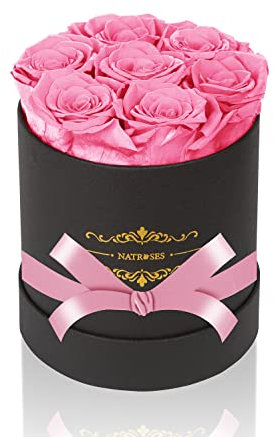 NATROSES 7 Piece Preserved Roses in a Box, Preserved Flowers for Birthday, Flower Gifts for Mothers Day (Pink)