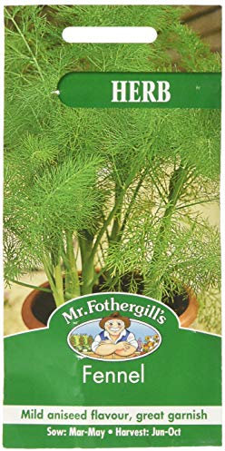 Mr Fothergill's 11579 Herb Seeds, Fennel,120 cm, Brown