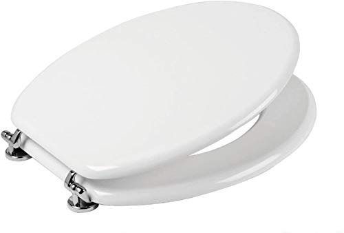 Copriwater Globo ALIA.AL001.ALIA MINI AL002 AZZURRO SUSSURRATO Cerniera Cromo-Sedile-Asse