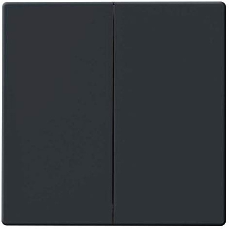 Busch-Jaeger 6736 FoH-81 Wippe, Busch-Dynastie, Zigbee-Freunde von Hue, Anthrazit (2CKA006730A0133)