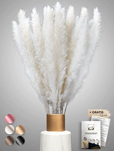 Pampasgras getrocknet 30 Stück - extra langlebige Trockenblumen - Deko Wohnzimmer , Schlafzimmer, Badezimmer , Vase Trockenblumenstrauß , Boho Deko (Weiß)
