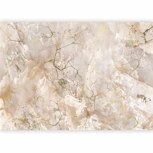 murando - Papier peint panoramique artistique 350x256 cm - Revêtement mural décoration pour chambre salon - Design moderne - Beige marron gris - Marbre fond texture abstraction f-C-0492-a-a