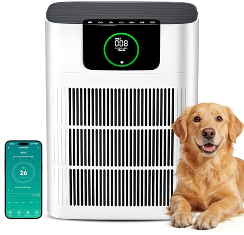 Alphaappliance Luftreiniger mit HEPA und Aktivkohlefilter