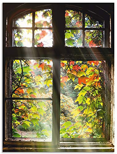 ARTland Wanddeko Wandbild Alu Verbundplatte für Innen & Outdoor Bild 60x80 cm Fensterblick Fenster Herbst Natur Landschaft Altbau Sonne Baum T5XH