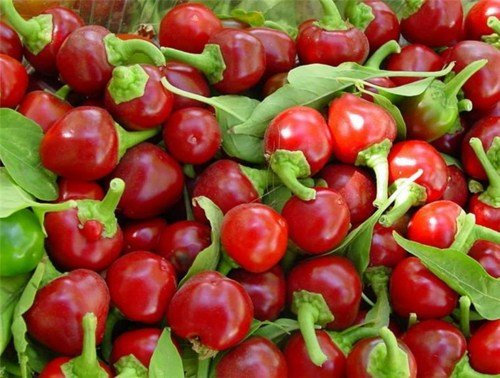 Heirloom Heritage Sweet Mini Cherry Pepper Seeds. Miniature Bright red 2 Round Cherry Pepper.
