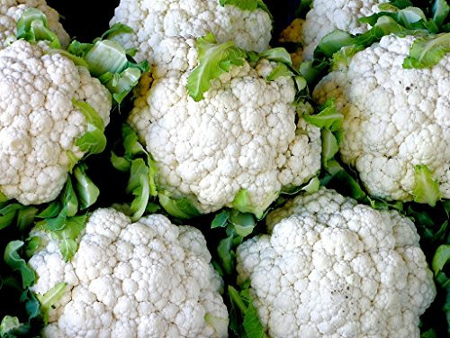 100 semi cavolfiore Snowball migliorate