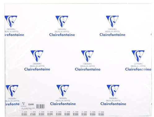 Clairefontaine 93496C Acrylique paquet 10F 50x65cm 360g