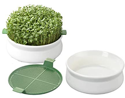 Germ'line - Germoir - Lot de 2 - Coupelle de Germination - Blanc - 14.5 cm x 14.5 cm x 7 cm - Indoor - Plante - Moderne - Décoratif, sans BPA, phtalates