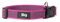 JULIUS K-9 225CG-PN Color und Gray Halsband, 25mm x 39 - 65 cm, verstellbar, rosa-grau