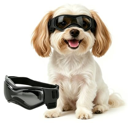 Enjoying Gafas de sol para perros pequeños, protección UV, protección ocular para perros pequeños, protección ocular para perros al aire libre, resistente al viento, a prueba de polvo, correas