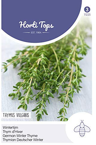 Hortitops 11225 Thymian Deutsche Winter (Thymiansamen)