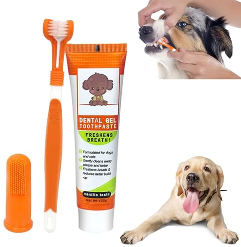 Kit Dentaire Dentifrice Chien,Brosse à Dents Pour Chiens Avec Dentifrice,Pour Chien à l'Arôme De Bœuf,Les Chiens Améliore l'hygiène buccale Contient (Orange)