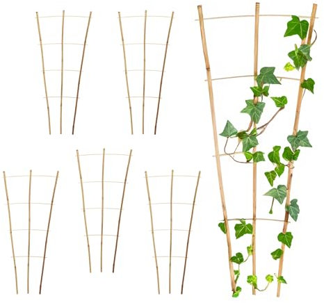 Bambus Rankgitter 75 x 35 cm Natur - 6er Set - Holz Kletterhilfe konisch für Rankpflanzen – Garten Pflanzenstütze Rankhilfe Tomaten Gurken Pflanzen Rankleiter Klettergitter Gartenspalier