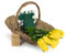 Wrenbury Antique Small Wicker Basket - Garden Basket - Traditional Flower Trug Garden Tool Carry Basket - Trug for Garden - For Veg, Fruit, Vegetables and Flowers