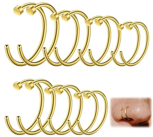 deegbbyi 14 Pièces Faux Piercings Nez, Anneau à Lèvres en Acier Inoxydable