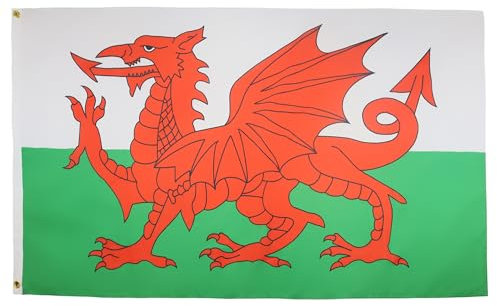 AZ FLAG - Flagge Wales - 90x60 cm - Walisische Fahne 100% Polyester mit Messing-Ösen - 50g
