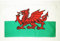 AZ FLAG - Flagge Wales - 90x60 cm - Walisische Fahne 100% Polyester mit Messing-Ösen - 50g