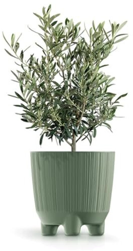 B2C Plant Pots Indoor Outdoor Plastic Flowerpot Small Medium Large RYFO 6 Colours (Earth green, 11cm)